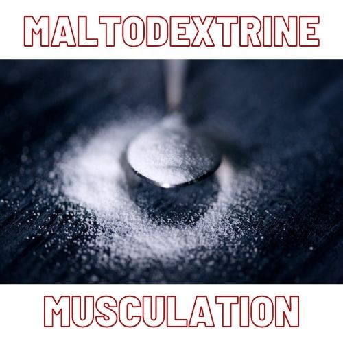 maltodextrine musculation